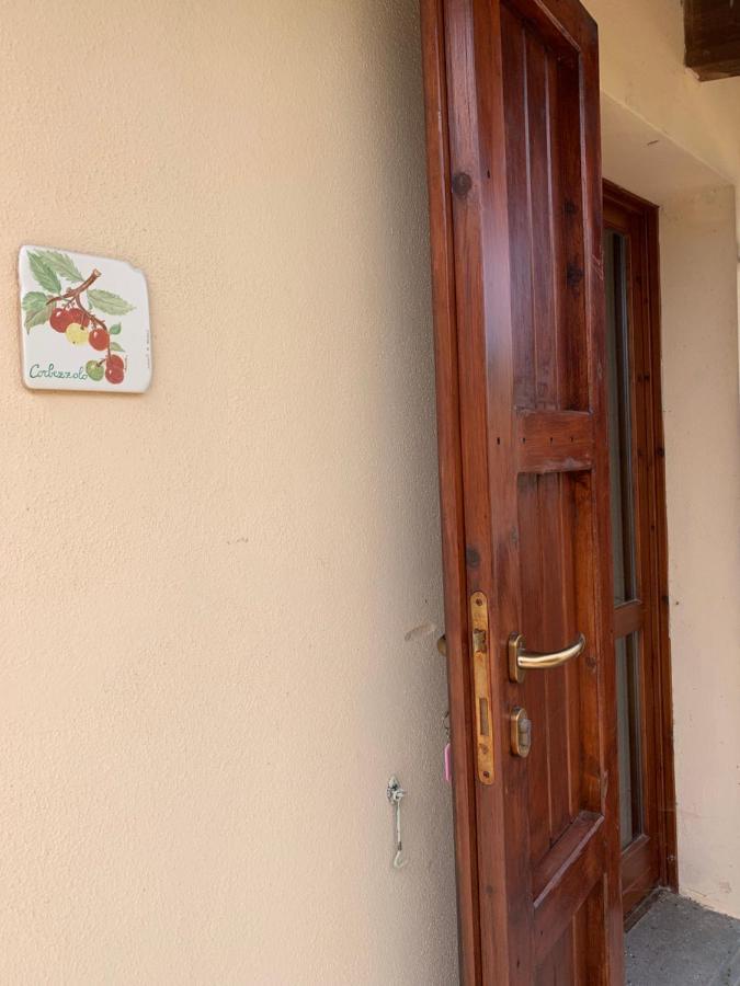 Agriturismo Terra Noas Villaurbana 외부 사진